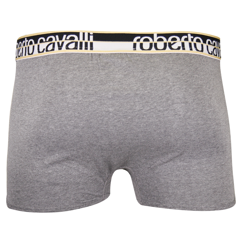 Roberto Cavalli Men's Single Pack Grey Stretch Boxer Briefs